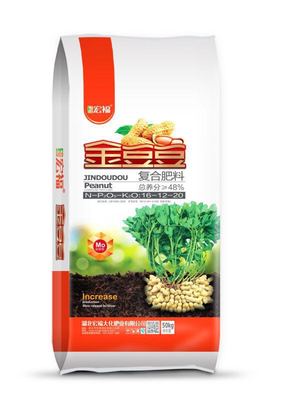 金豆豆